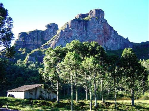 Pedra da Aguia - Urubici - SC. Foto: Luiz Fernando Guglielmi