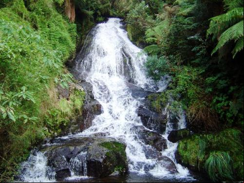Cascata Véu de Noiva - S. J. dos Ausentes - RS 