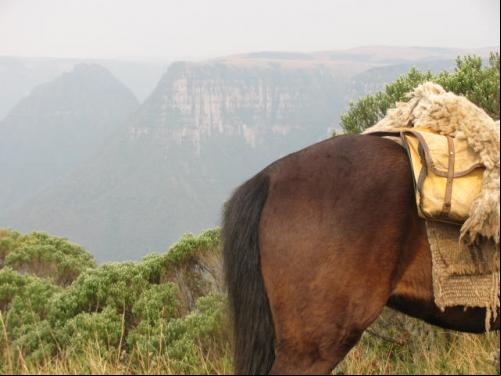 Cavalgadas Aparados da Serra